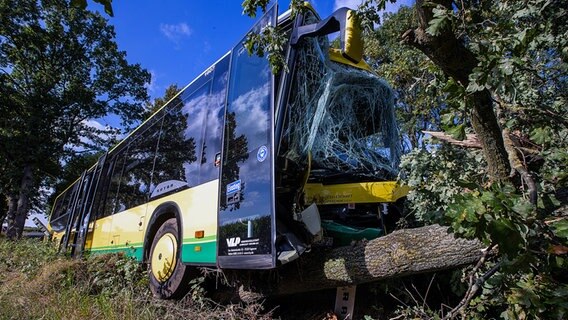 Plate: Stark beschädigt steht nach einem Busunfall mit mehreren verletzten Grundschülern das Fahrzeug im Straßengraben. © dpa-Bildfunk Foto: Jens Büttner