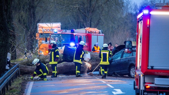 Feuerwehrleute sichern eine Unfallstelle auf der Bundestrasse 208, nachdem ein Pkw von einem durch den Sturm umgestürzten Baum getroffen wurde. © dpa-Bildfunk Foto: Jens Büttner