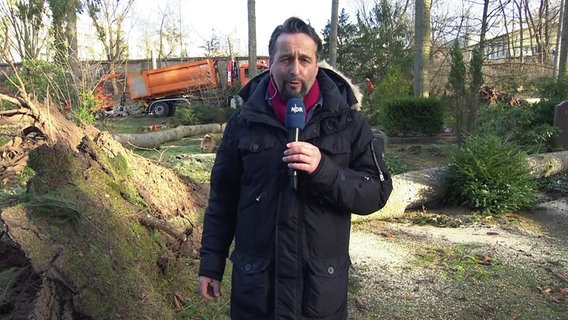 In Neubrandenburg stürzten etliche Bäume auf einem Friedhof um. © NDR Foto: NDR
