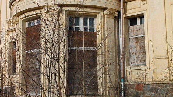 Vor Fenstern der "Villa Baltic" sind Sperrholzplatten angebracht, Bäume wuchern bis dicht ans Mauerwerk. © NDR.de Foto: Daniel Sprenger