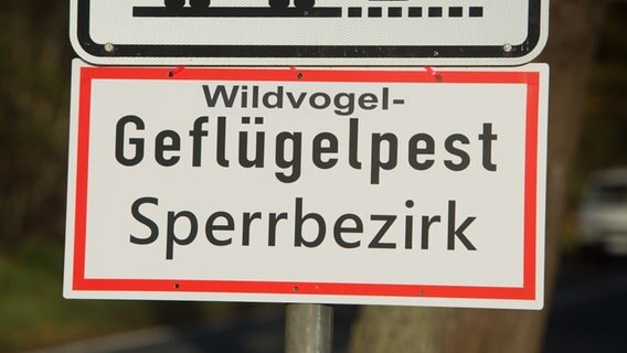 Ein Schild mit der Aufschrift «Wildvogelgeflügelpest Sperrbezirk» hängt am 10.11.2016 bei der Insel Riems (Mecklenburg-Vorpommern) bei Greifswald an einem Verkehrsschild. © dpa Bildfunk Foto: Stefan Sauer