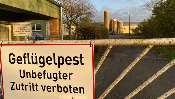Am Tor einer Putenmastanlage auf Rügen hängt ein Schild mit der Aufschrift "Geflügelpest - Unbefugter Zutritt verboten". © Claudia  Helms Foto: Claudia Helms