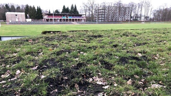 Von Wildschweinen aufgewühlte Rasenfläche am Volksstadion in Greifswald. © NDR Foto: Robert Schubert