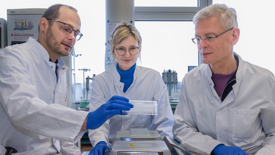 Prof. Thomas Thiele, Dr. Linda Schönborn und Prof. Andreas Greinacher (v.l.n.r.) von der Transfusionsmedizin in Greifswald. Prof. Thomas Thiele, Dr. Linda Schönborn und Prof. Andreas Greinacher (v.l.n.r.) von der Transfusionsmedizin in Greifswald. © Universitätsmedizin Greifswald