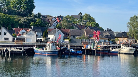 Das Dorf Kamminke vom Hafen © NDR Foto: Christine Senkbeil