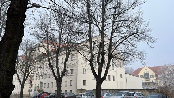 Bäume stehen vor dem Theater in der Anklamer Strasse in Greifswald. © NDR Foto: Robert Schubert