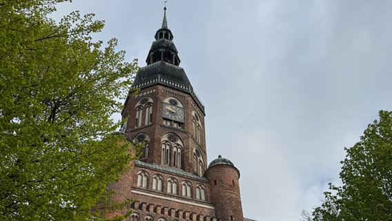 Greifswalder Dom St. Nikolai zwischen grünen Bäumen. © NDR Foto: Moritz Schröder