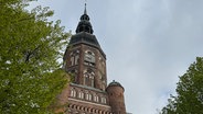Greifswalder Dom St. Nikolai zwischen grünen Bäumen. © NDR Foto: Moritz Schröder