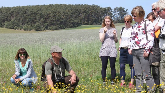 Ein Ranger des Biosphärenreservats Südost-Rügen hockt auf einer Blumenwiese in den Zicker Bergen. Um ihn herum stehen weitere Menschen und scheinen ihm aufmerksam zuzuhören. © Biosphärenreservatsamt Südost-Rügen - Öffentlichkeitsarbeit und Kommunikation 