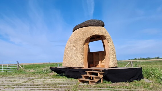 Ein Tropfenförmiger Pavillon steht am Rand einer Grünfläche. © NDR Foto: Merle Herbold