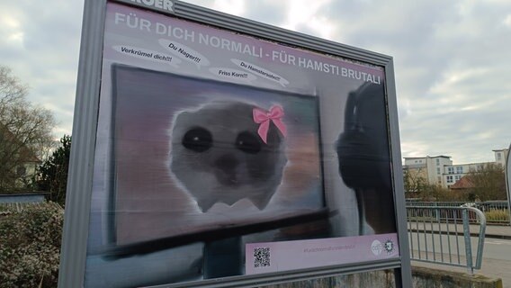Ein Plakat mit einem Hamster auf einer Werbetafel. Ein Plakat mit einem Hamster auf einer Werbetafel. © NDR Foto: Konrad Buchwald