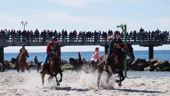 Reiter mit Pferd vor der Seebrücke Wustrow auf Strand. Publikum im Hintergrund. © Strandgalopprennen Wustrow 