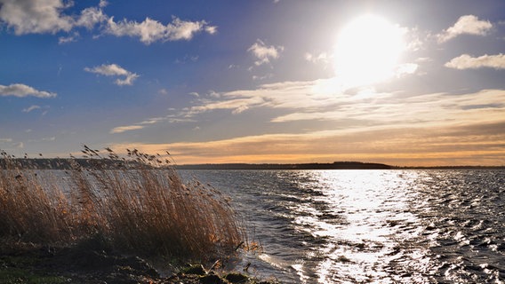 Die Sonne scheint am Strelasund. © NDR Foto: Günter Kamp aus Greifswald