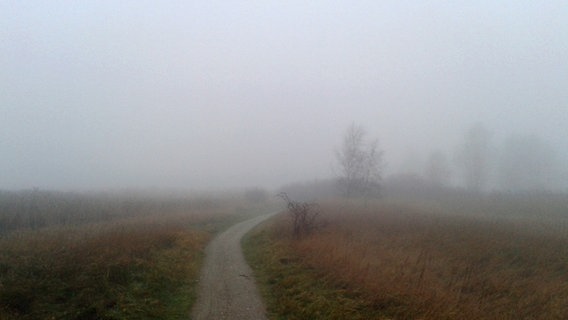 Ein Weg führt in den Nebel. © NDR Foto: Mathias Berndt aus Putbus