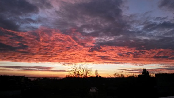 Sonnenaufgang über einer Gartenanlage © NDR Foto: Henry Martens-Rentel aus Stralsund