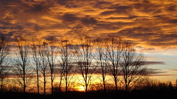 Sonnenaufgang am stark bewölkten Himmel © NDR Foto: Daniela Dietze aus Samstens