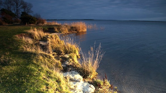 bewachsene Küste wird von der Abendsonne angestrahlt © NDR Foto: Hans-Peter Apler