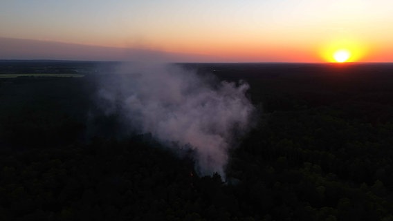 Waldbrand Lübtheen © NDR Foto: Ralf Drefin