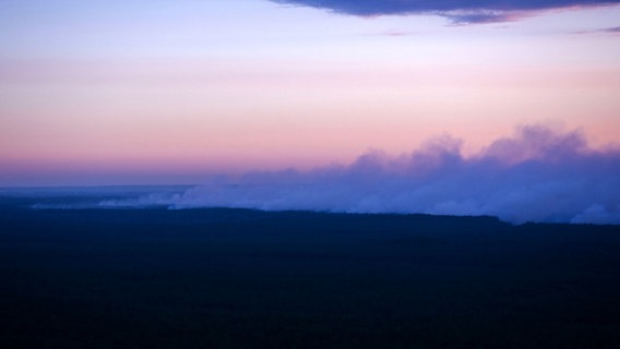 Rauch steigt über einem Waldgebiet bei Lübtheen auf. © dpa-Bildfunk Foto: Jens Büttner