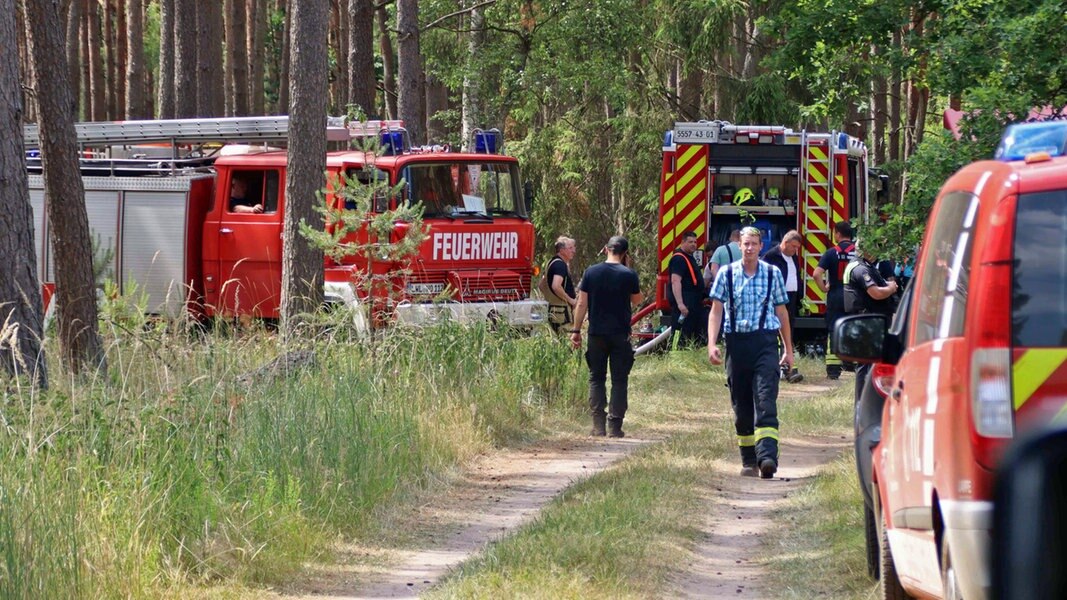 Zwei Waldbrände in munitionsbelastetem Gebiet gelöscht