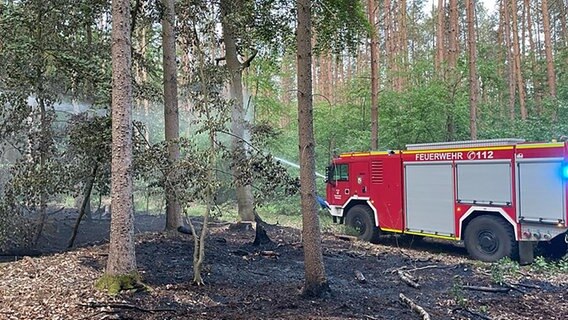 Ein Löschfahrzeug der Feuerwehr steht in einem Wald und spritzt Wasser auf eine verkohlte Fläche. © Landkreis Mecklenburgische Seenplatte Foto: Landkreis Mecklenburgische Seenplatte