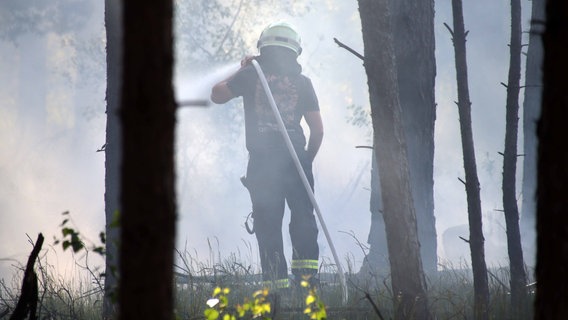Ein Feuerwehrmann löscht von Rauchschwaden umgebene Glutnester eines Waldbrandes mit dem Wasserschlauch. © NDR Foto: Ralf Drefin