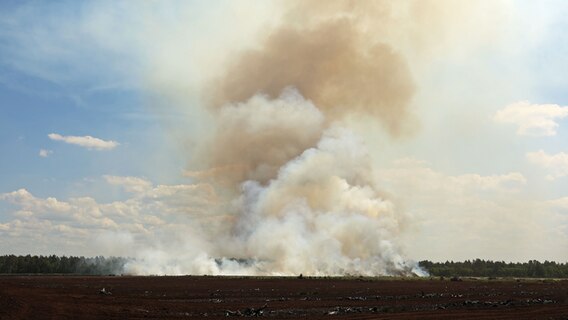 Ein Feuerwehrmann löscht von Rauchschwaden umgebene Glutnester eines Waldbrandes mit dem Wasserschlauch. © NDR Foto: Stefan Tretropp/NonStopNews Rostock