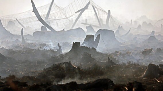 Göldenitz: Ein abgebranntes Torfmoorgebiet. © Bernd Wüstneck/dpa +++ dpa-Bildfunk +++ Foto: Bernd Wüstneck/dpa +++ dpa-Bildfunk +++