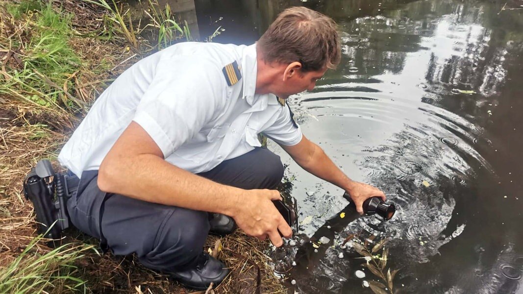 Viele tote Fische in Gewässer in Westmecklenburg - Polizei ermittelt