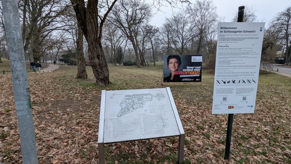 Ein Wahlplakat des BSW steht im Schweriner Schlossgarten. Ein Wahlplakat des BSW steht im Schweriner Schlossgarten. © Chris Loose Foto: Christoph Loose