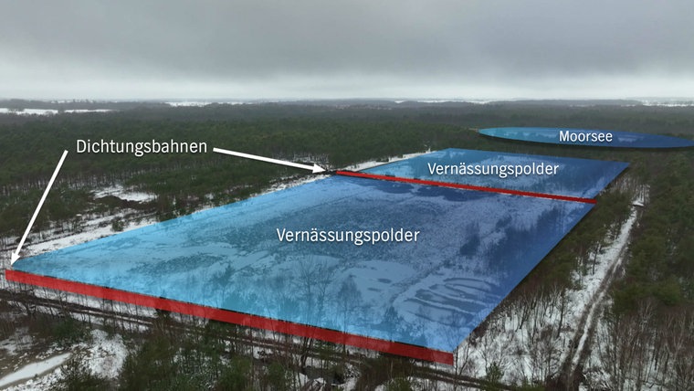 Wiedervernässte Fläche im Grambower Moor. © NDR