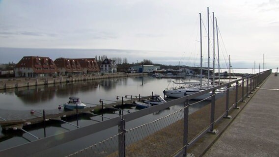 Der Hafen von Wiek auf Rügen. © NDR Foto: NDR