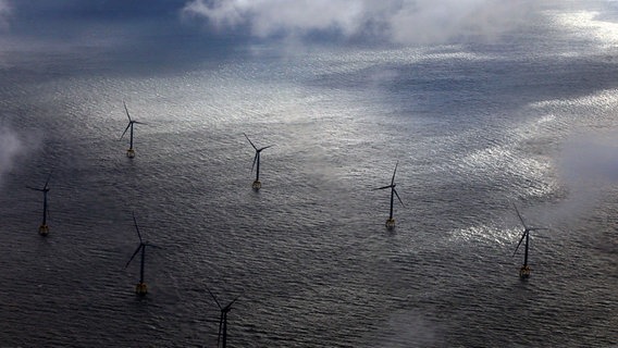 Der Offshore-Windpark "Wikinger" in der Ostsee nordöstlich von Rügen © dpa-Bildfunk Foto: Danny Gohlke