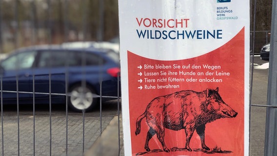 Ein Schild im Stadtgebiet von Greifswald warnt vor Wildschweinen © Robert Schubert Foto: Robert Schubert