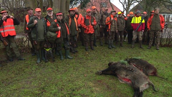 Wildschweinjagd auf Hiddensee © NDR Foto: NDR