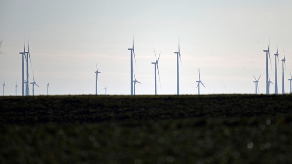 Ein Windpark in Mecklenburg-Vorpommern, fotografiert kurz nach Sonnenaufgang bei Bützow. © dpa Foto: Frank Hormann