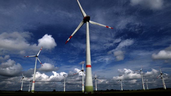 Altentreptow: Ein Windpark mit mehreren Windrädern zeichnet sich gegen den blauen, leicht bewölkten Himmel ab. © Bernd Wüstneck/dpa 