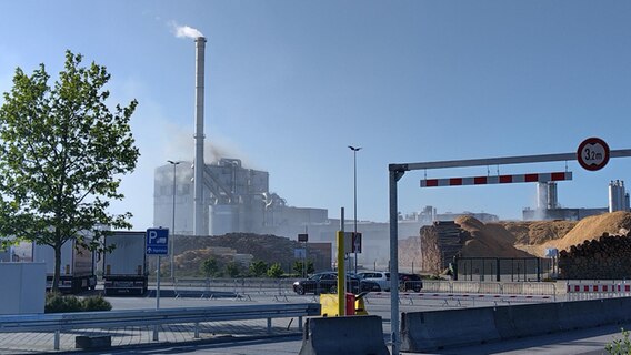 Rauch steigt aus dem Holzverarbeitungswerk Egger in Wismar auf. © NDR Foto: Christoph Woest