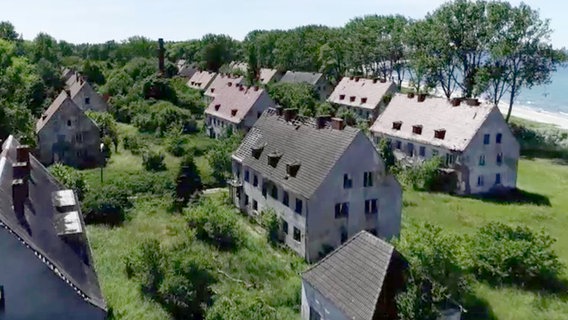 Drohnenbild der Halbinsel Wustrow zeigt verfallene Häuser zwischen Bäumen, im Hintergrund der Ostseestrand. © NDR Foto: NDR