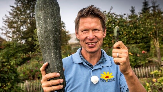 Peter Rasch hält zeigt zwei unterschiedlich große Zucchini hoch © NDR 