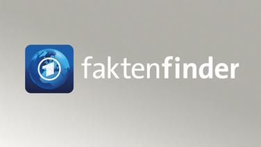 Logo "Faktenfinder"  