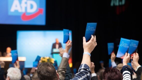 Delegierte stimmen beim Parteitag der AfD ab. © picture alliance Foto: Julian Stratenschulte/dpa