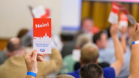 Stimmkarten werden auf dem Landesparteitag der der AfD Niedersachsen gehoben. © picture alliance/dpa/Philipp Schulze Foto: Philipp Schulze