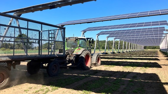 Ein Trecker fährt unter Solarmodulen auf einem Acker entlang. © NDR Foto: Ines Burckhardt