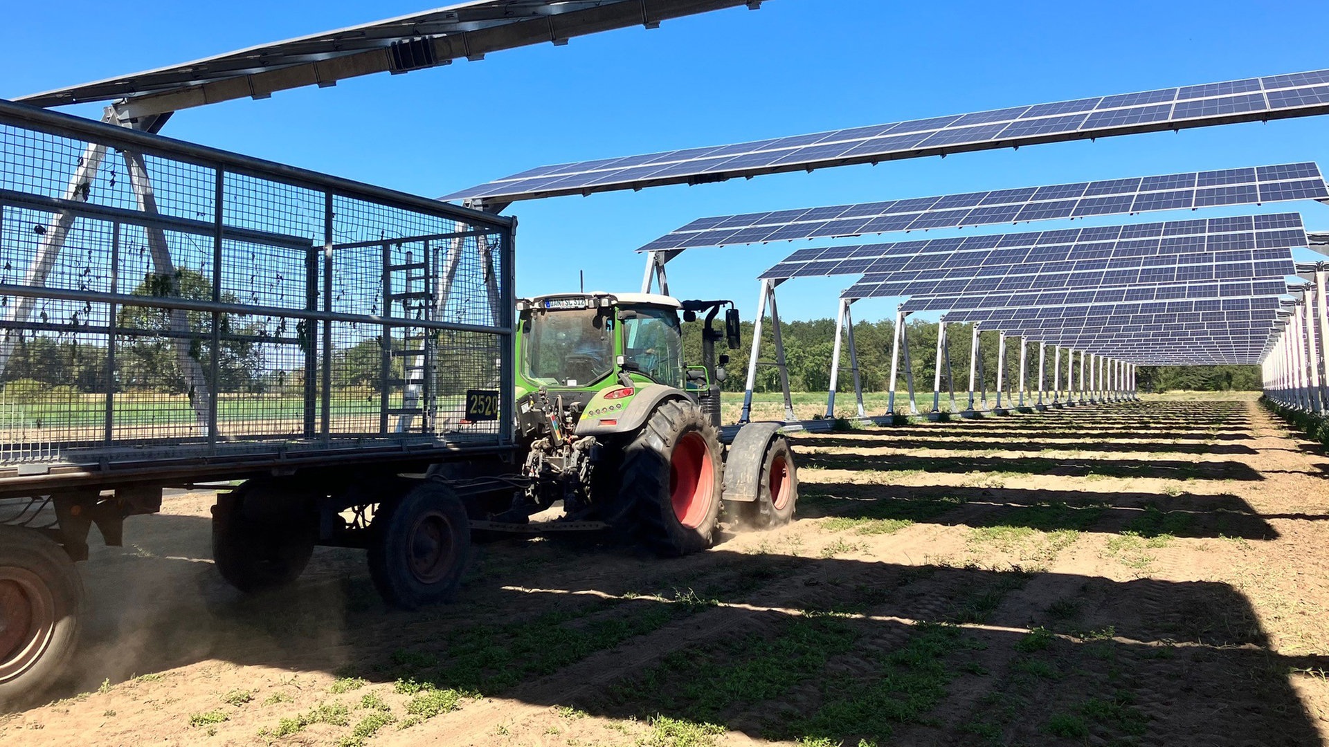 Warum Landwirte sich jetzt für Solar-Anlagen begeistern