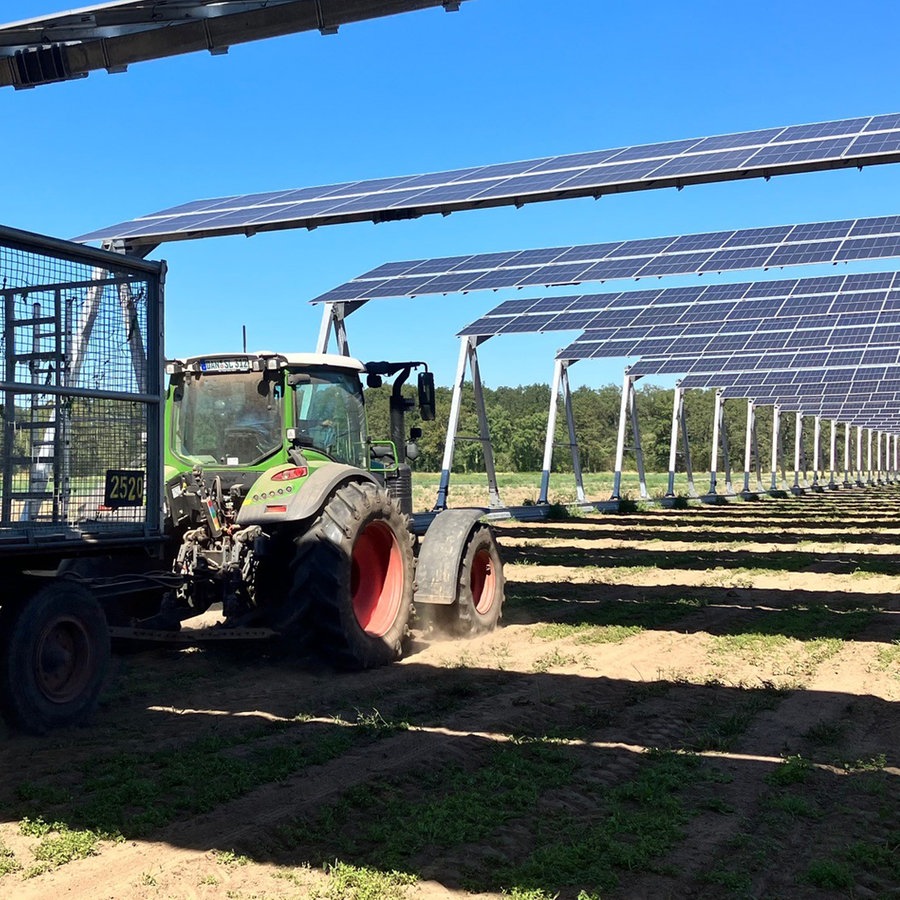 Ein Trecker fährt unter Solarmodulen auf einem Acker entlang. © NDR Foto: Ines Burckhardt