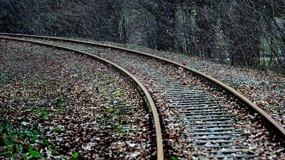 Rostige Bahngleise liegen auf der Strecke zwischen Nienstädt und Obernkirchen. © dpa-Bildfunk Foto: Peter Steffen