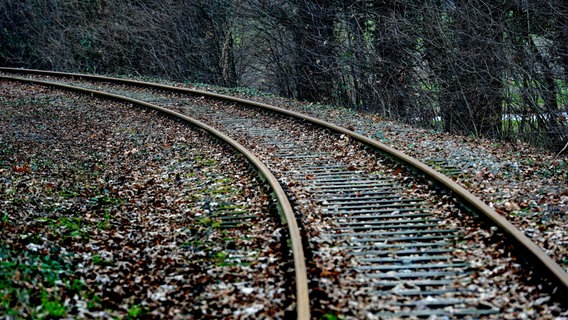 Rostige Bahngleise liegen auf der Strecke zwischen Nienstädt und Obernkirchen. © dpa-Bildfunk Foto: Peter Steffen