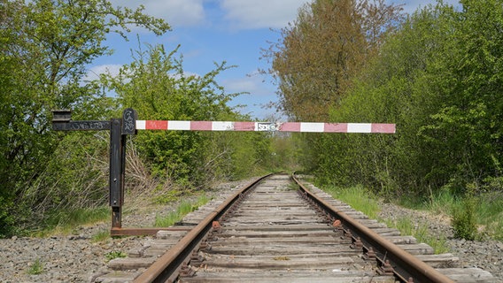 Blick auf eine stillgelegte Bahnstrecke. © picture alliance/imageBROKER | Schoening Foto: Schoening