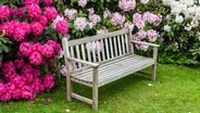 Gartenbank vor blühenden Rhododendron-Büschen Gartenbank vor blühenden Rhododendron-Büschen © fotolia. Fotograf: Debu55y